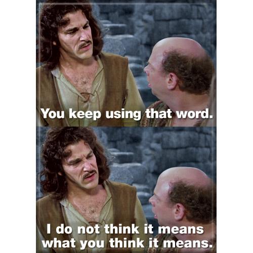 Princess Bride What You Think it Means Magnet