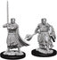 Dungeons & Dragons: Nolzur's Marvelous Unpainted Miniatures - W08 Male Human Cleric
