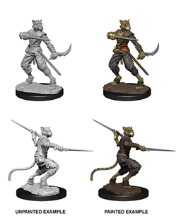 Dungeons & Dragons Nolzur’s Marvelous Miniatures: Tabaxi Rogue (Male)