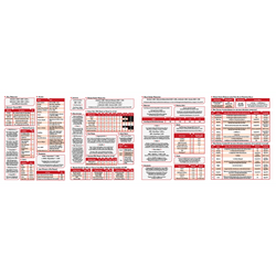 Cyberpunk Red RPG: Data Screen