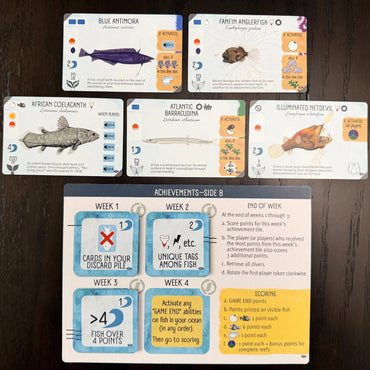 Finspan: Sharks & Reefs Expansion
