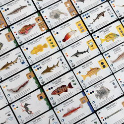 Finspan: Sharks & Reefs Expansion
