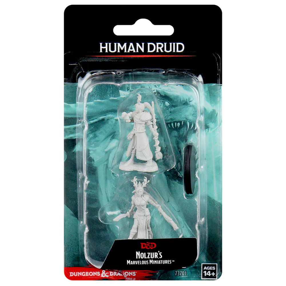 Nolzur's Marvelous Miniatures - Human Female Druid