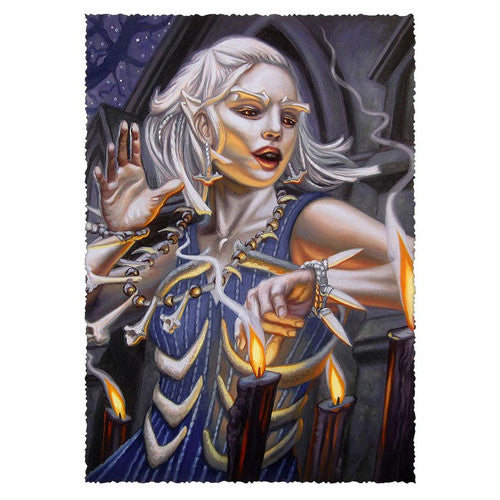 Deck Protector: Warlord: Saga of the Storm: Into the Accordlands