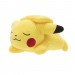 Pokemon 5" Sleeping Plush