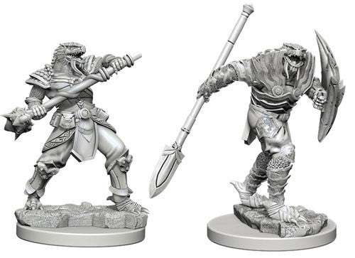 Nolzur's Marvelous Miniatures - Dragonborn Male Fighter Varia