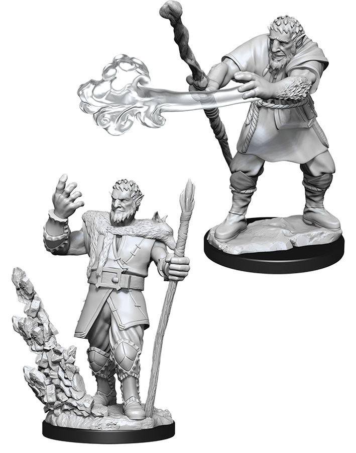 Nolzur's Marvelous Miniatures - Male Firbolg Druid