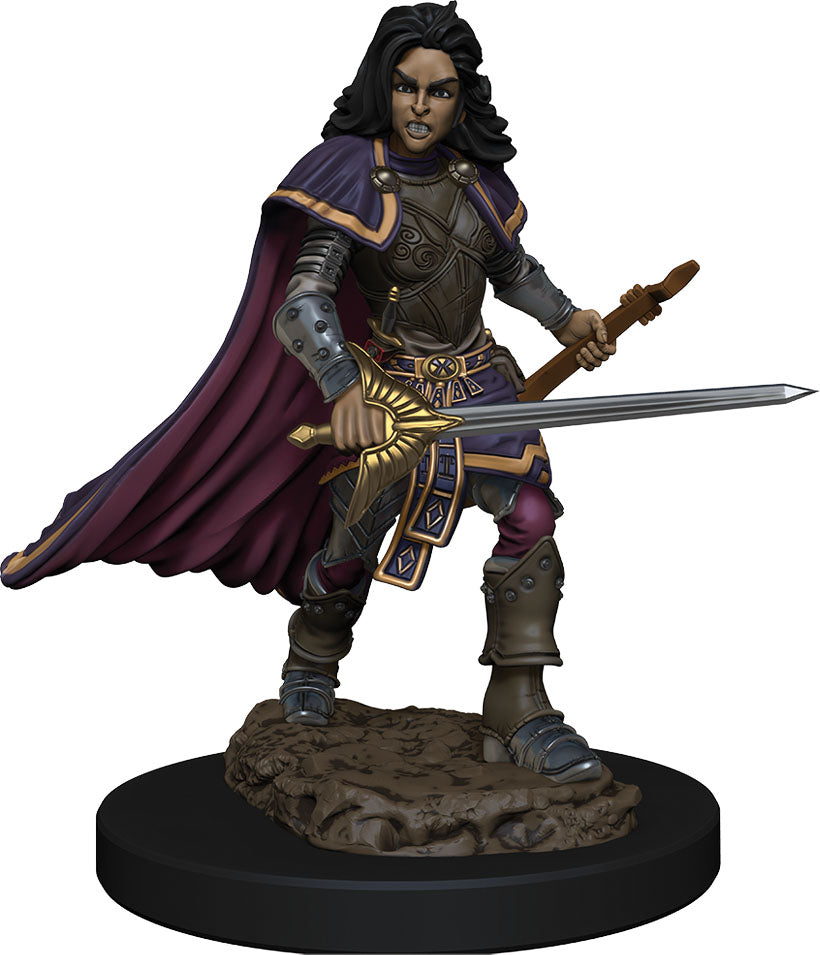 D&D Pathfinder Premium Figure Female Human Bard