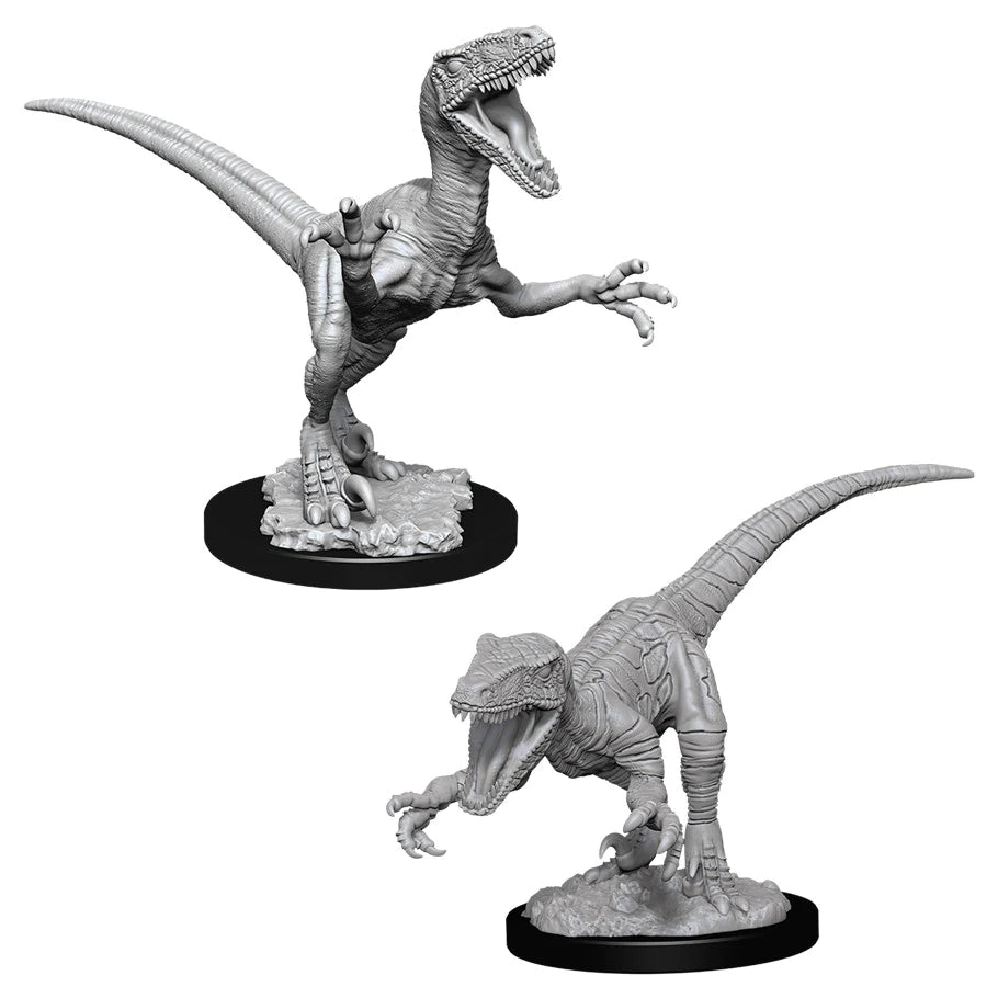 WizKids Raptors