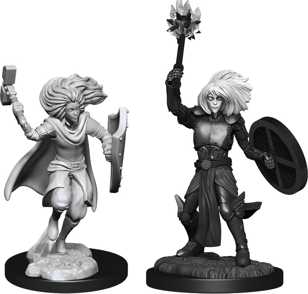 D&D Nolzur's Marvelous Miniatures: Changeling Cleric