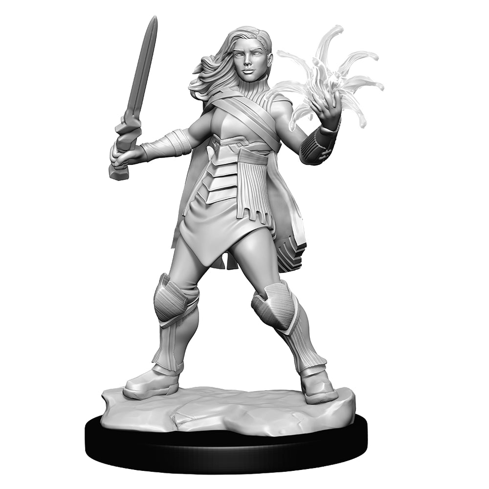Magic the Gathering Unpainted Miniatures: Rowan & Will Kenrith