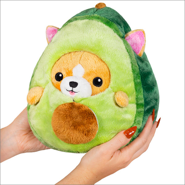 Undercover Squishable: Corgi in Avocado