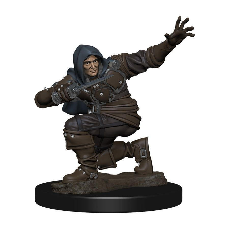 PATHFINDER BATTLES: PREMIUM PAINTED FIGURE: HUMAN ROGUE MALE